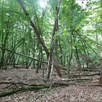 Siedlisko Na Szlaku Odry Radoszyce (Lubin)