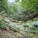 Siedlisko Na Szlaku Odry