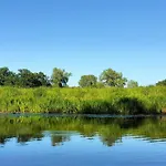 Siedlisko Na Szlaku Odry *