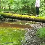 Siedlisko Na Szlaku Odry * Radoszyce (Lubin)