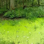 Siedlisko Na Szlaku Odry Willa *