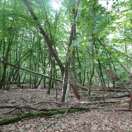 Siedlisko Na Szlaku Odry Radoszyce (Lubin)