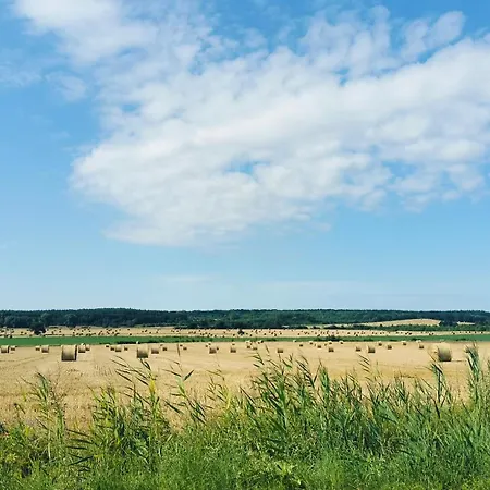 Siedlisko Na Szlaku Odry Vila