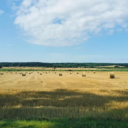 Vila Siedlisko Na Szlaku Odry