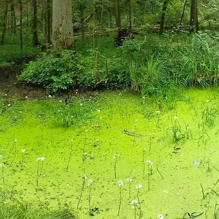 Siedlisko Na Szlaku Odry Vila *